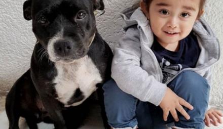 Foto: IG @ivonnebvega