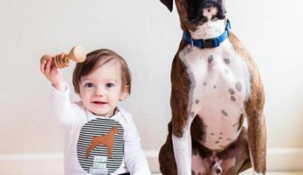 Foto: IG @bannortoys