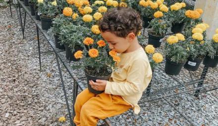 Foto: IG @julimonsalveblog